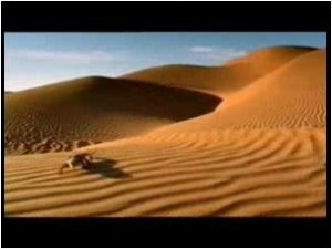 Sahara - púšť anglického pacienta